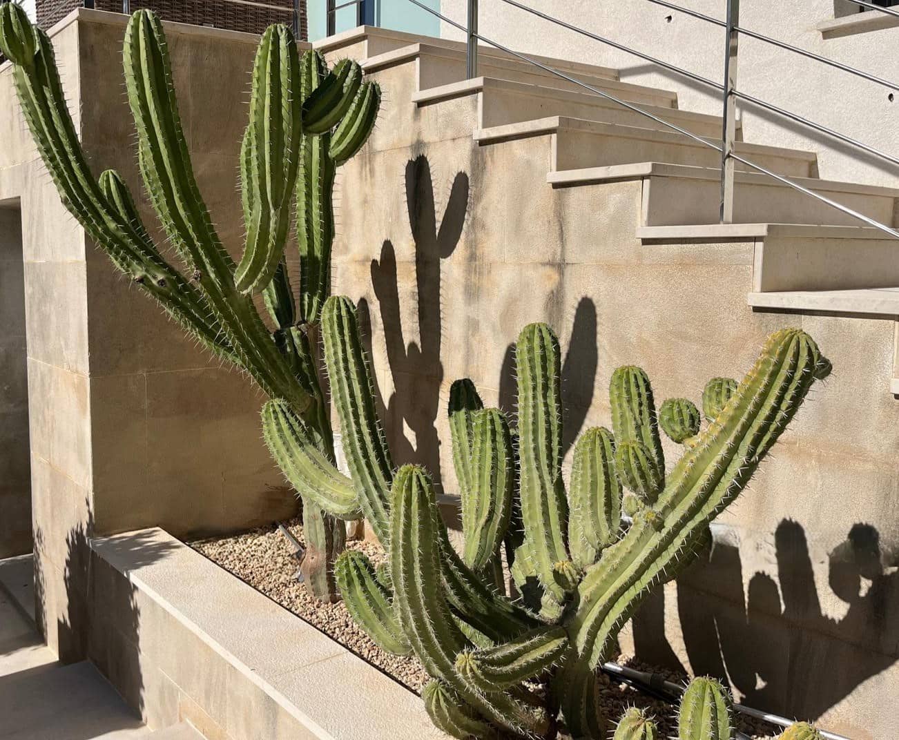 4 soveværelse Rækkehus til leje i Santa Ponsa med swimmingpool garage - € 10.000 (Ref: 9271900)