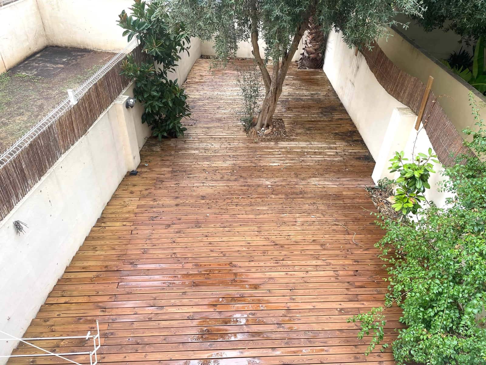 2 soverom Leilighet til leie i Palma de Mallorca - € 1 900 (Ref: 9275291)