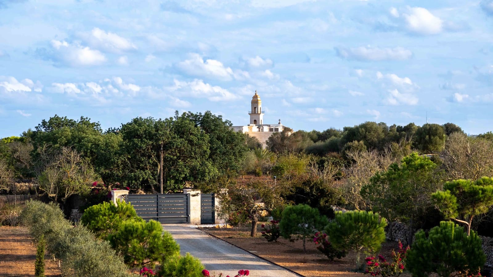 5 slaapkamer Finca/Landhuis te koop in Ses Salines met zwembad garage - € 3.250.000 (Ref: 9275296)