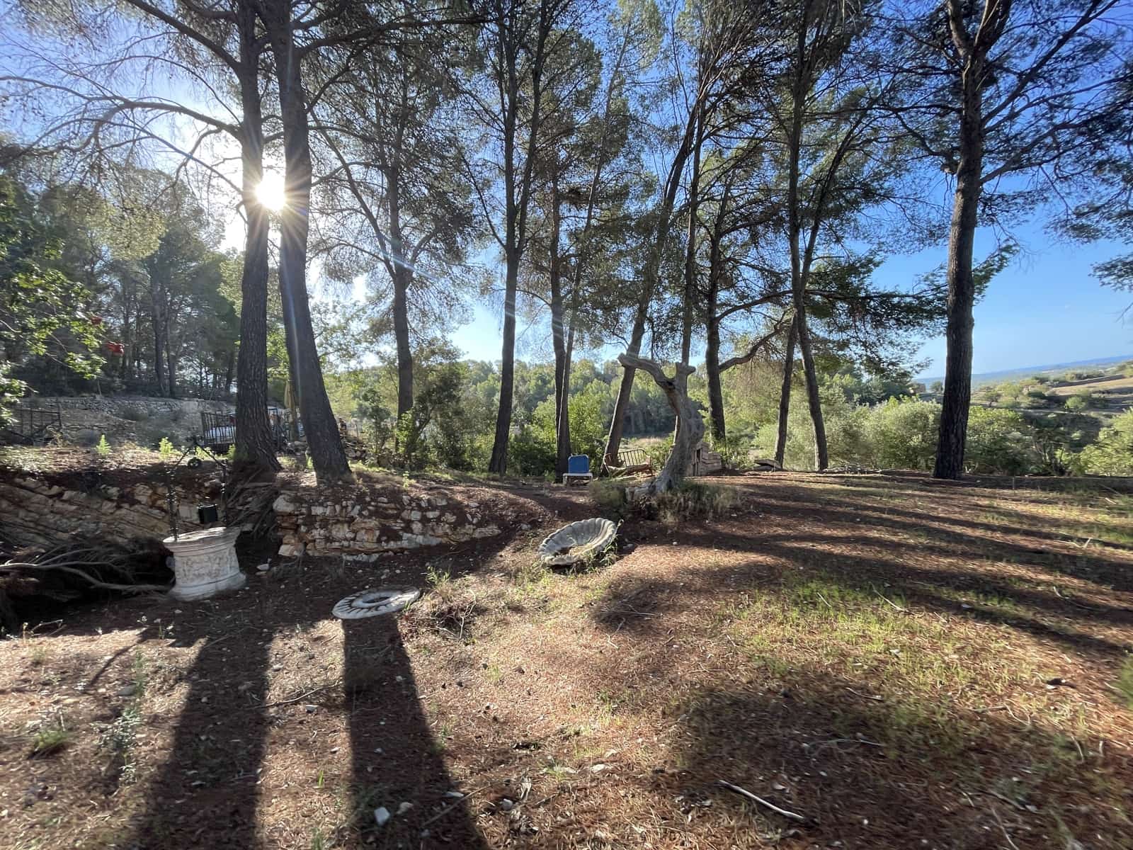 1 soverom Finca/Herregård til salgs i Calvia med garasje - € 775 000 (Ref: 9289806)