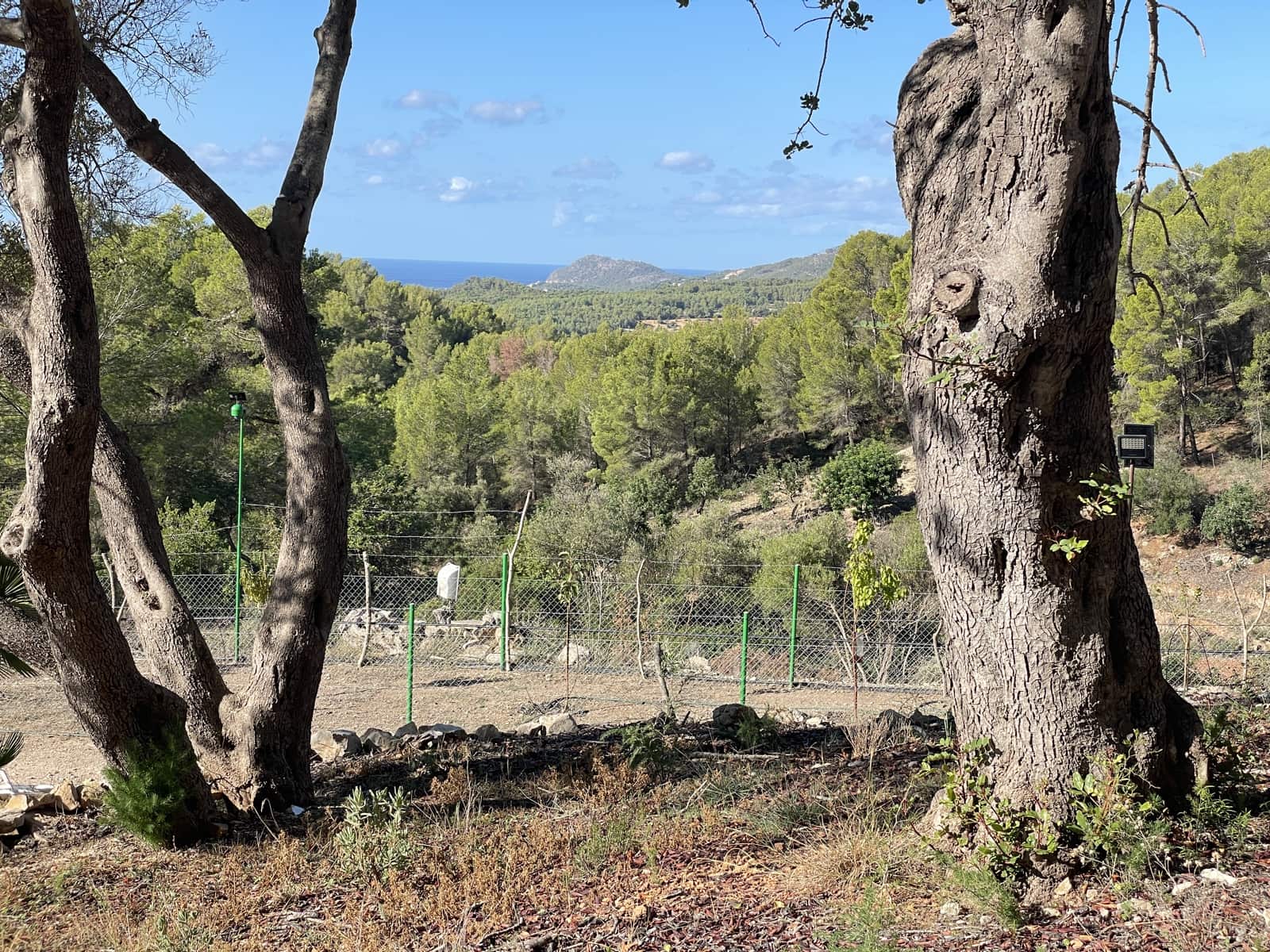 1 soverom Finca/Herregård til salgs i Calvia med garasje - € 775 000 (Ref: 9289806)