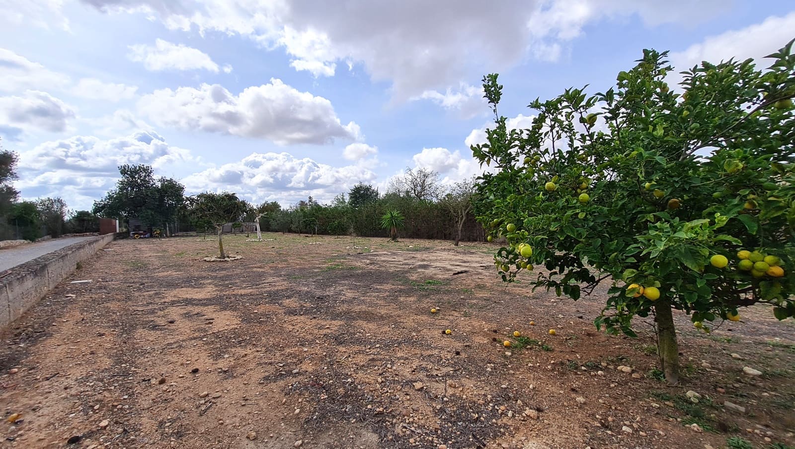 3 soveværelse Finca/Landehus til salg i Llucmajor med garage - € 625.000 (Ref: 9294103)