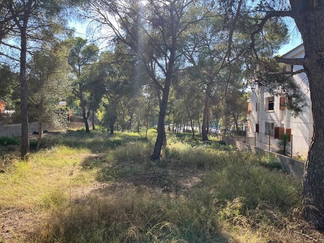 Byggetomt til salgs i Santa Ponsa, Calvià - € 1 000 000 (Ref: 9294108)