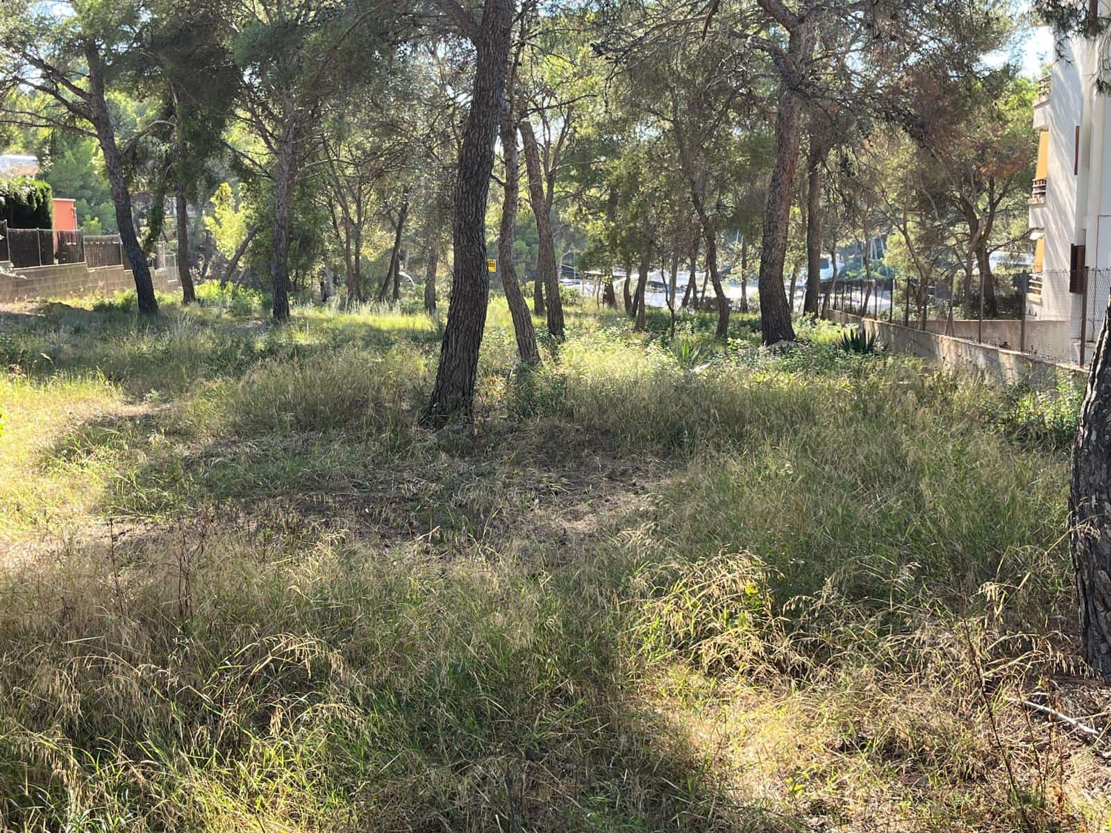 Byggetomt til salgs i Santa Ponsa - € 1 000 000 (Ref: 9294108)