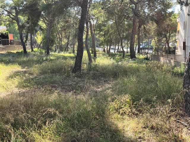 Byggetomt til salgs i Santa Ponsa, Calvià - € 1 000 000 (Ref: 9294108)