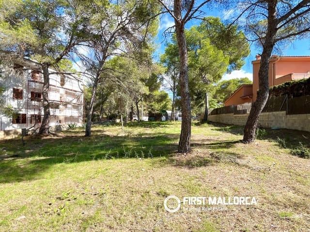 Bauplatz zu verkaufen in Santa Ponsa, Calvià - 800.000 € (Ref: 9294108)