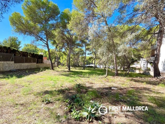 Bauplatz zu verkaufen in Santa Ponsa, Calvià - 800.000 € (Ref: 9294108)