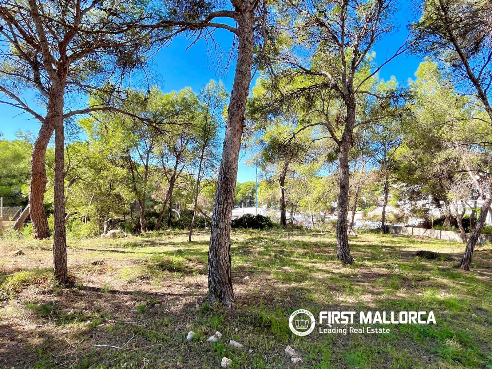 Byggegrund til salg i Santa Ponsa - € 800.000 (Ref: 9294108)