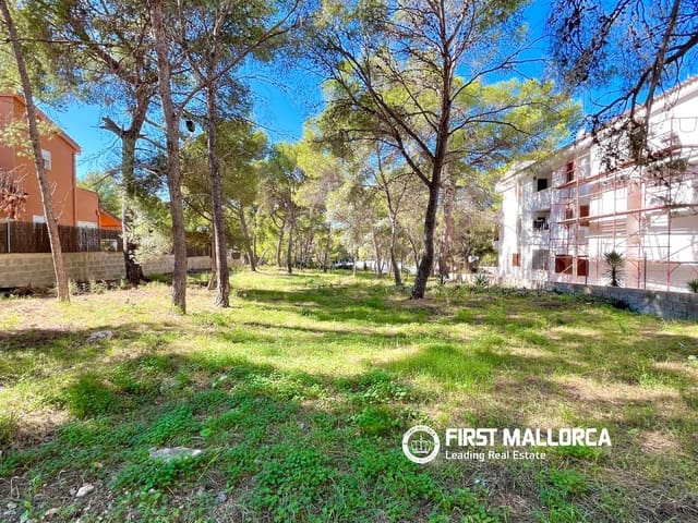 Bauplatz zu verkaufen in Santa Ponsa, Calvià - 800.000 € (Ref: 9294108)