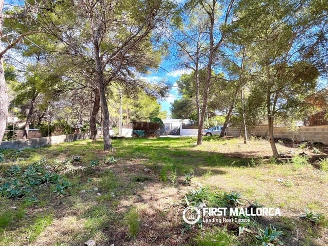 Bauplatz zu verkaufen in Santa Ponsa, Calvià - 800.000 € (Ref: 9294108)