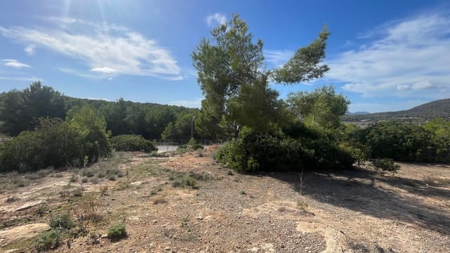 Byggetomt til salgs i Cala Vinyes / Cala Vinyas / Cala Viñas, Calvià - € 1 200 000 (Ref: 9302805)