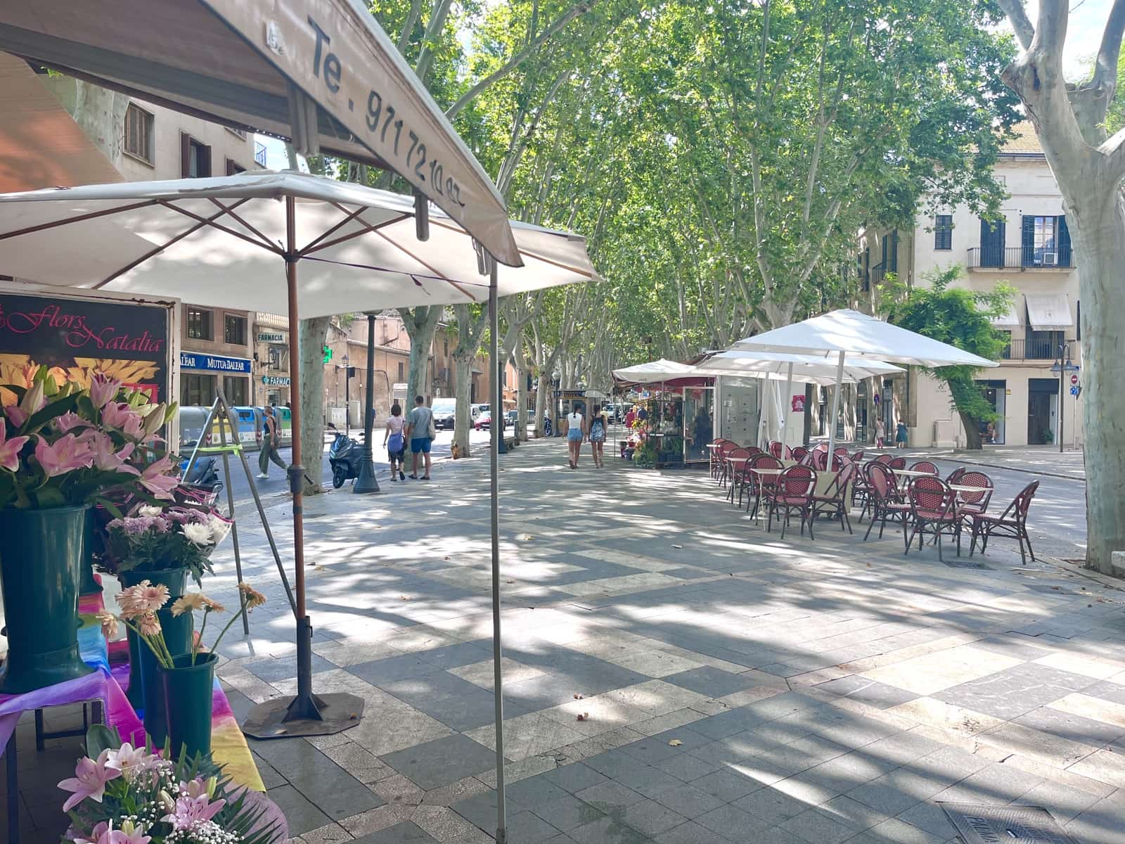 4 sypialnia Apartament do wynajęcia w Palma de Mallorca z garażem - 2 400 € (Ref: 9307234)