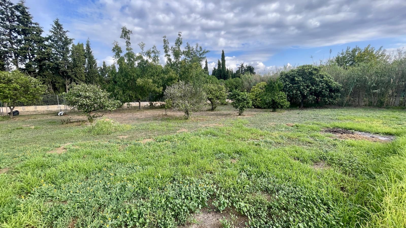 3 soverom Villa til salgs i Establiments med svømmebasseng garasje - € 1 650 000 (Ref: 9315198)