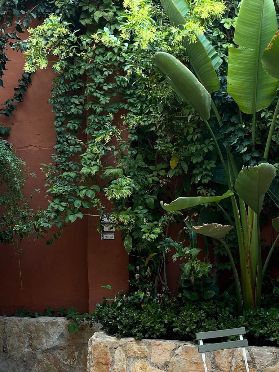 2 bedroom Apartment for rent in Palma de Mallorca - € 1,900 (Ref: 9319929)