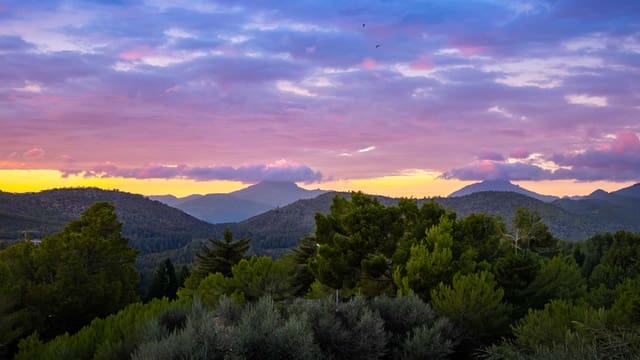 5 soveværelse Villa til salg i Cala Vinyes / Cala Vinyas / Cala Viñas, Calvià med swimmingpool garage - € 5.950.000 (Ref: 9344060)