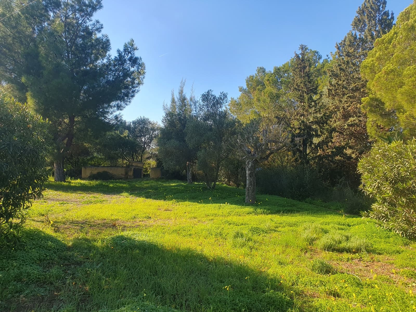 3 soveværelse Finca/Landehus til salg i Binissalem med swimmingpool garage - € 750.000 (Ref: 9354506)