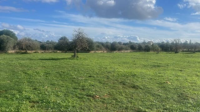 Building Plot for sale in Manacor - € 390,000 (Ref: 9380155)