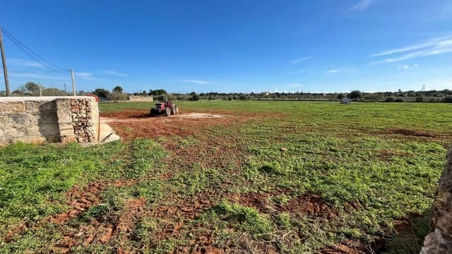 Building Plot for sale in Manacor - € 390,000 (Ref: 9380155)