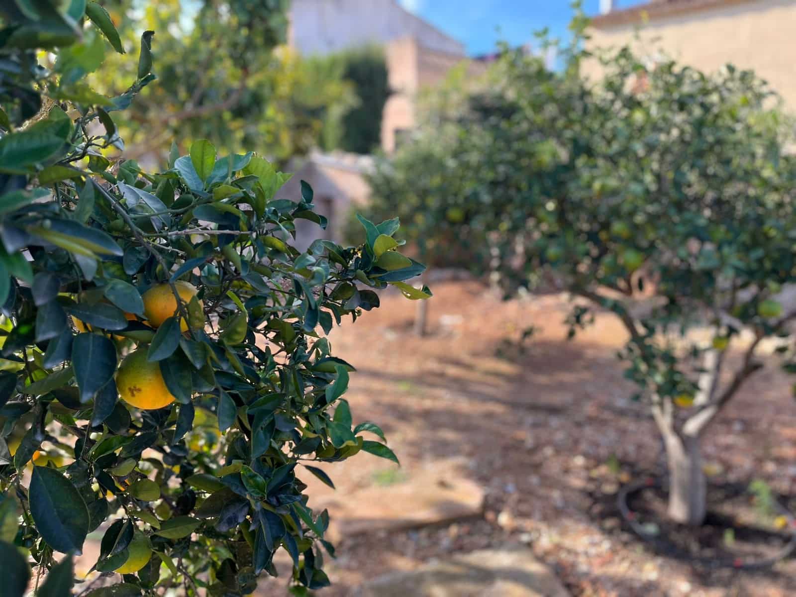 3 soveværelse Villa til leje i Ariany med swimmingpool garage - € 3.000 (Ref: 9386694)