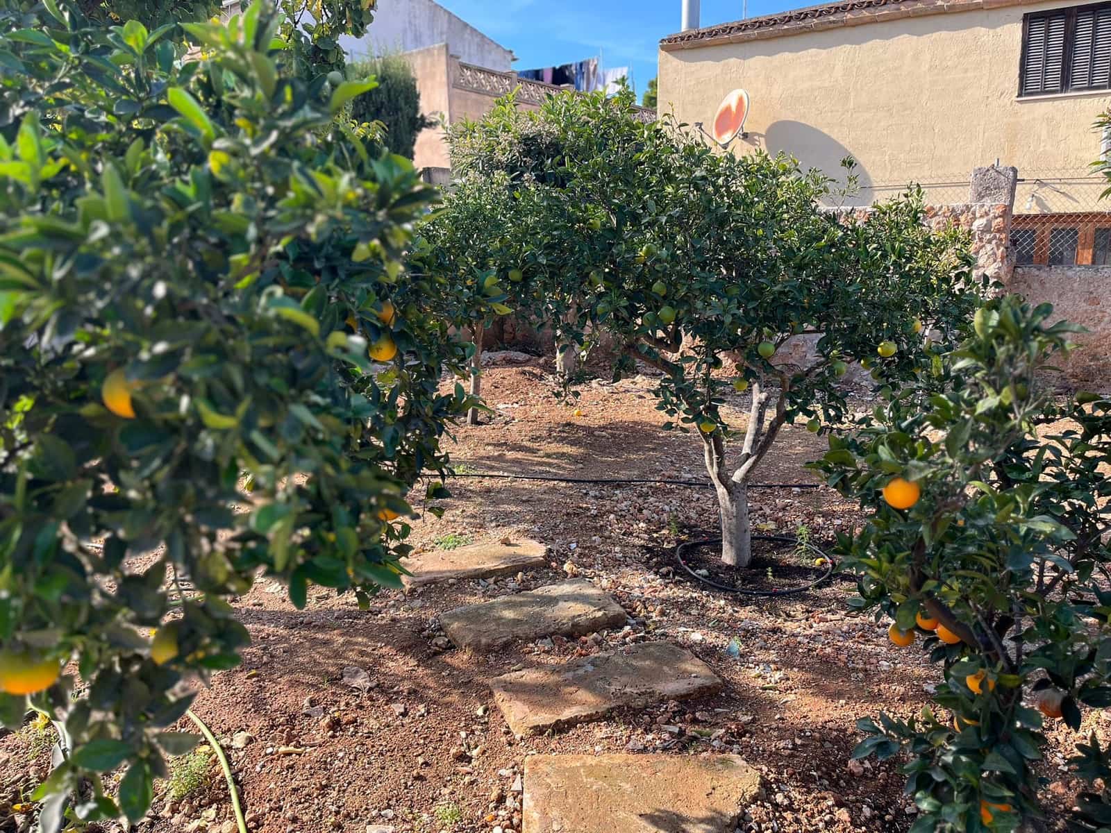 3 soveværelse Villa til leje i Ariany med swimmingpool garage - € 3.000 (Ref: 9386694)