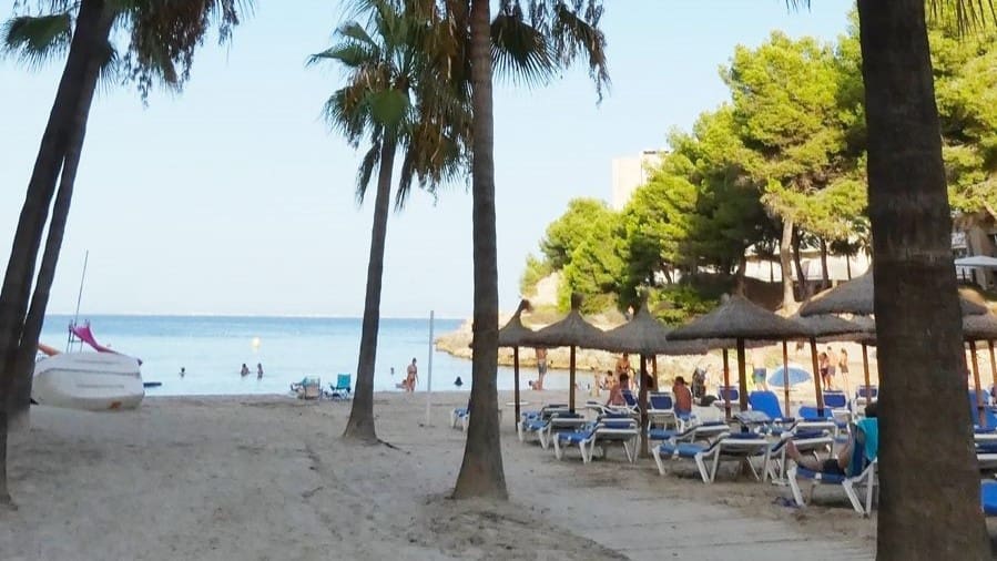 2 soveværelse Lejlighed til leje i Cala Vinyes / Cala Vinyas / Cala Vinas med garage - € 2.000 (Ref: 9402546)