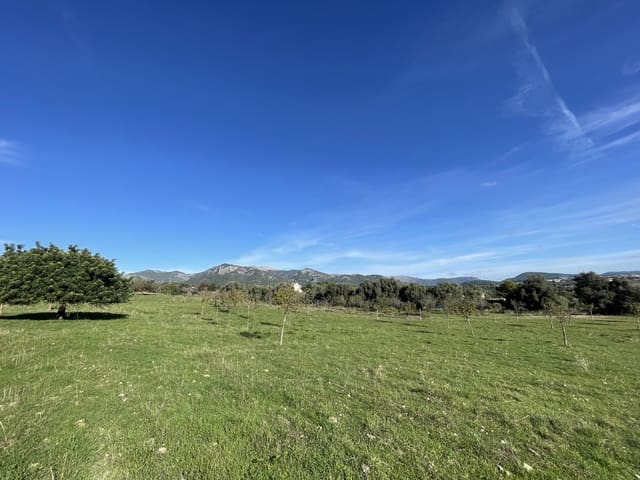 Bouwgrond te koop in Moscari, Selva - € 795.000 (Ref: 9402548)