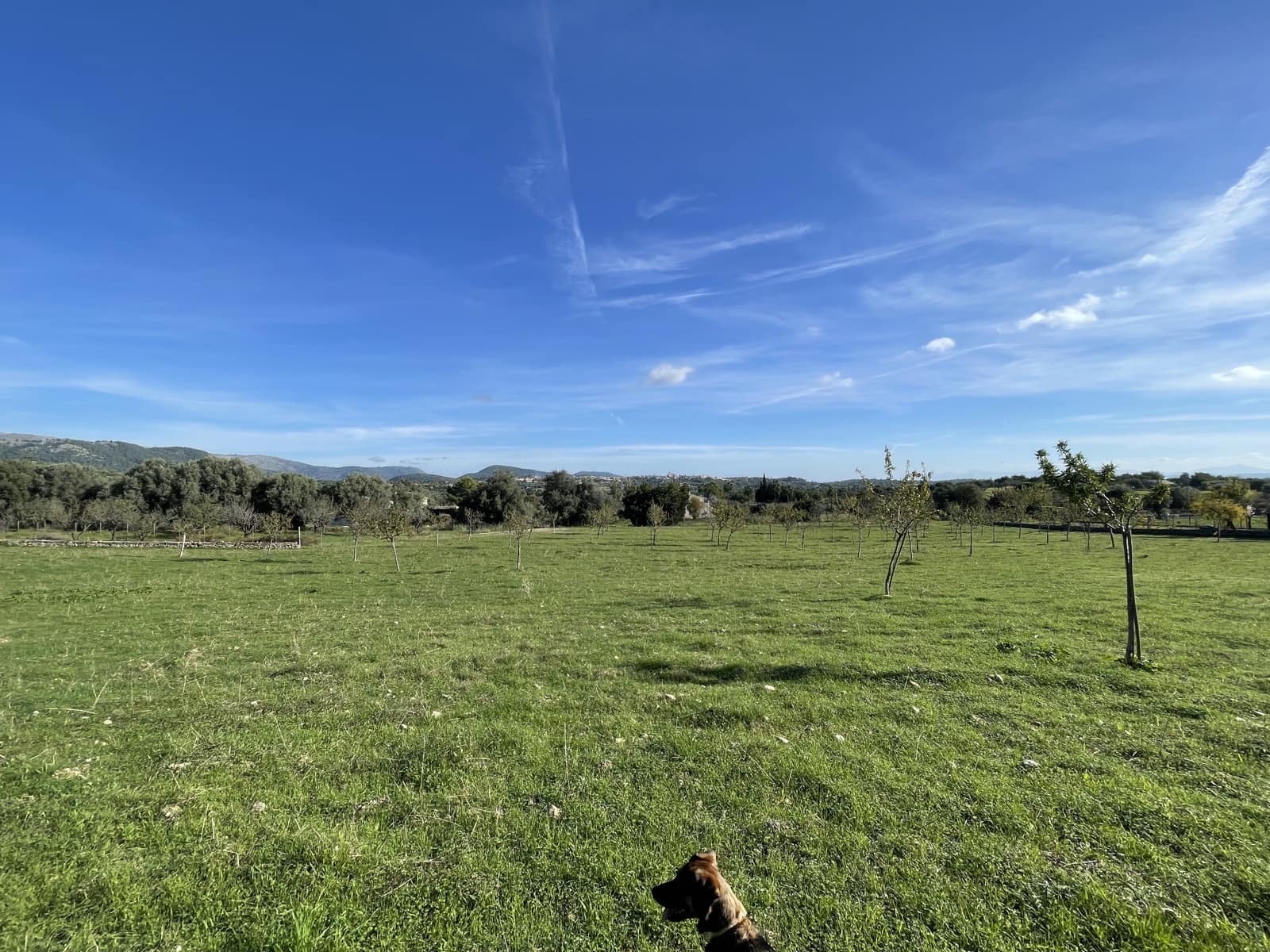 Tontti myytävänä paikassa Moscari - 795 000 € (Ref: 9402548)