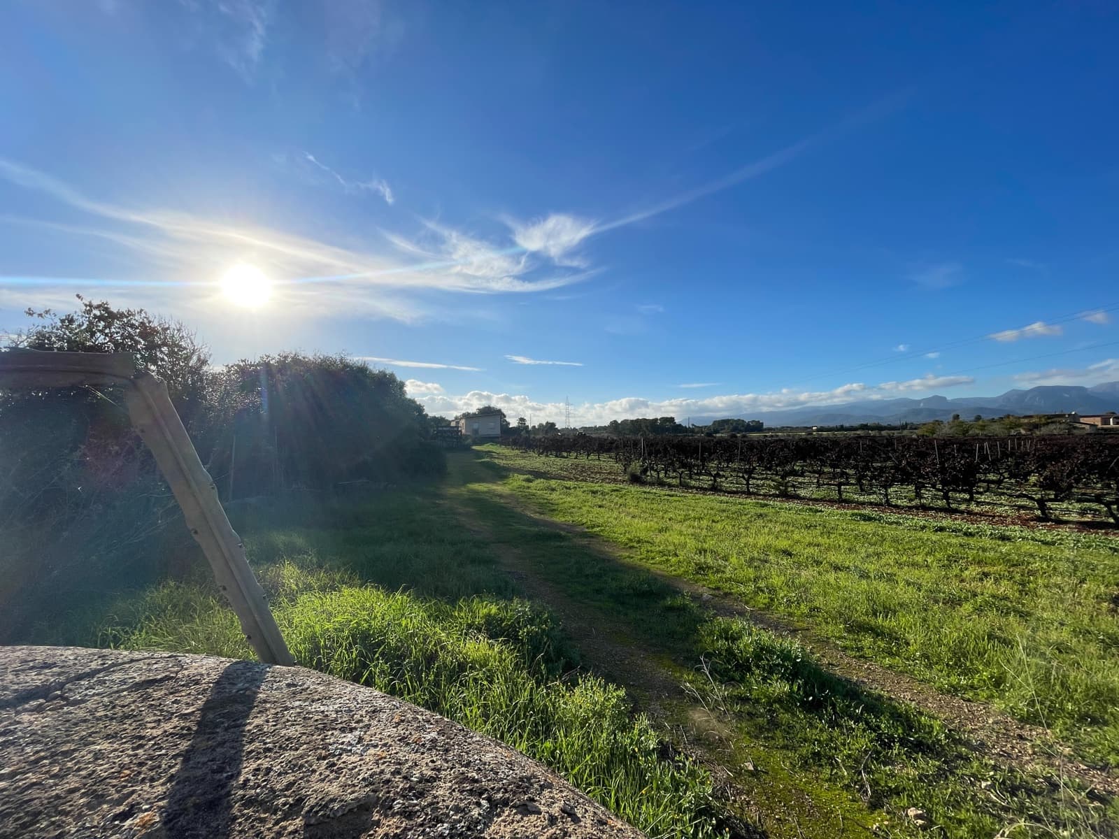 4 chambre Finca/Maison de Campagne à vendre à Sencelles avec piscine garage - 1 695 000 € (Ref: 9405872)