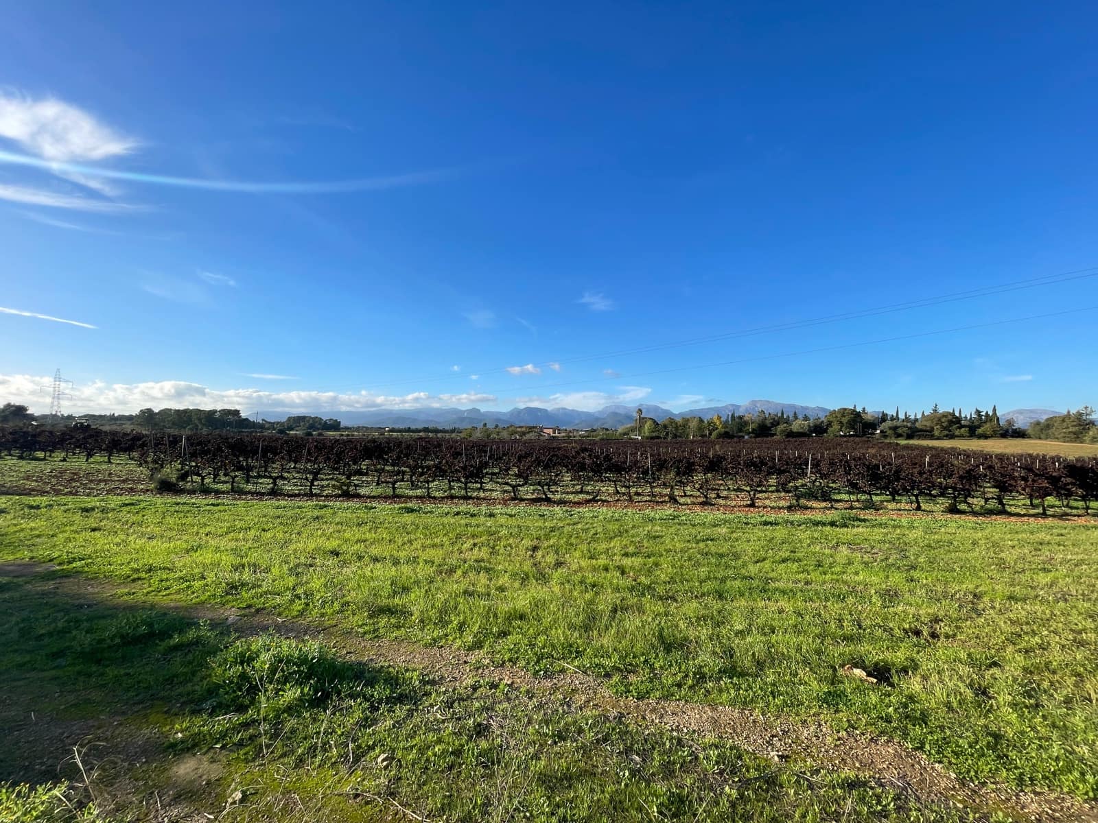 4 chambre Finca/Maison de Campagne à vendre à Sencelles avec piscine garage - 1 695 000 € (Ref: 9405872)