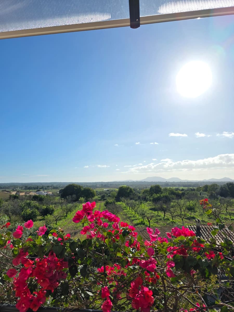 3 soveværelse Villa til leje i Santa Eugenia med garage - € 2.000 (Ref: 9413089)