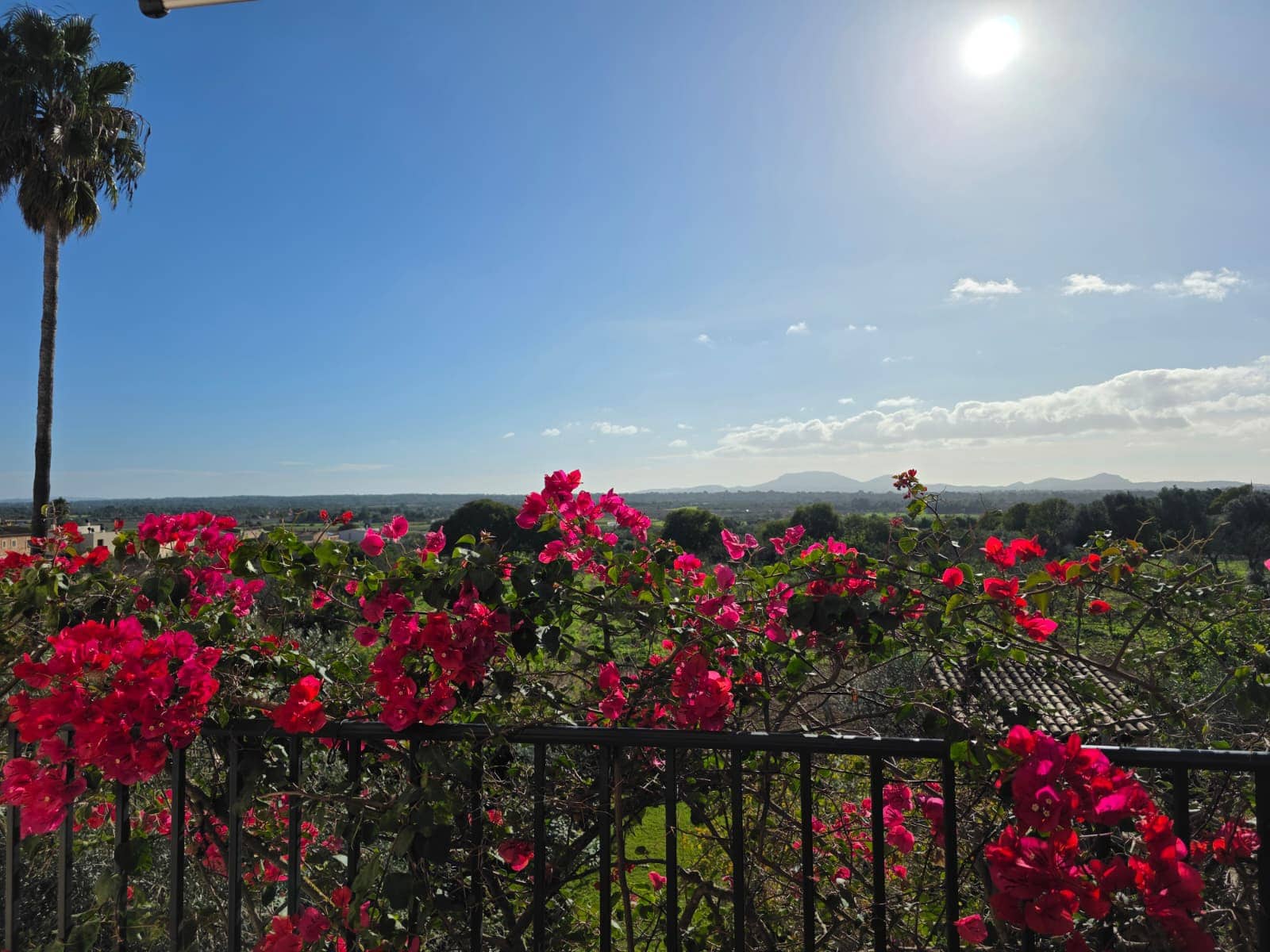 3 soveværelse Villa til leje i Santa Eugenia med garage - € 2.000 (Ref: 9413089)