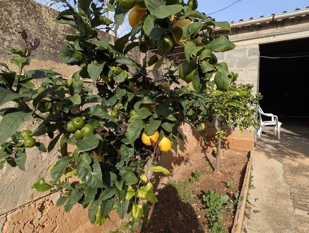 3 bedroom Semi-detached Villa for sale in Cala Llombards, Santanyí with garage - € 530,000 (Ref: 9428949)