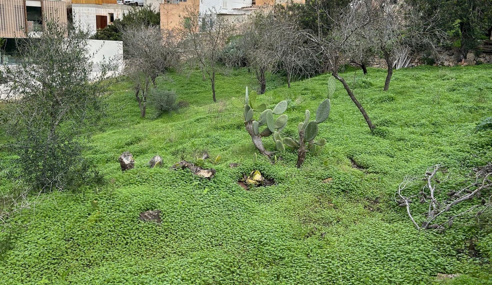 Byggegrund til salg i Palma de Mallorca - € 442.000 (Ref: 9436430)