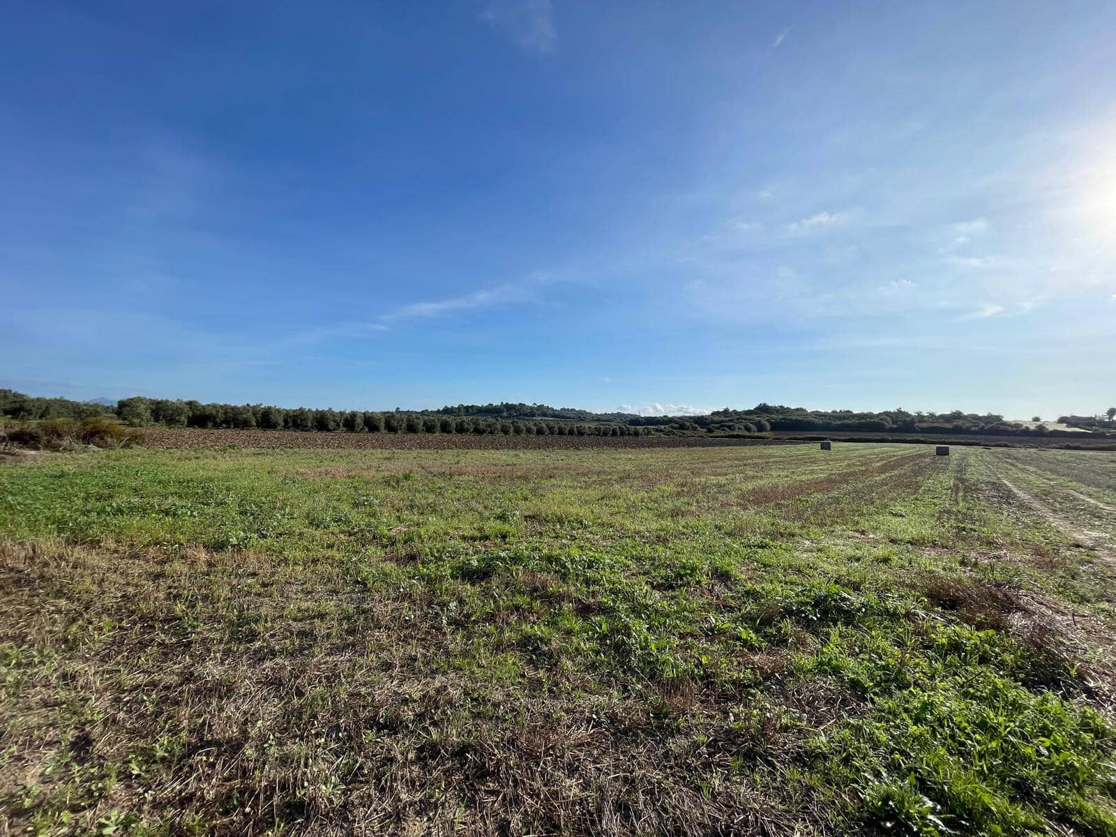 Byggetomt til salgs i Muro - € 525 000 (Ref: 9436436)