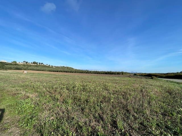 Building Plot for sale in Muro - € 525,000 (Ref: 9436436)