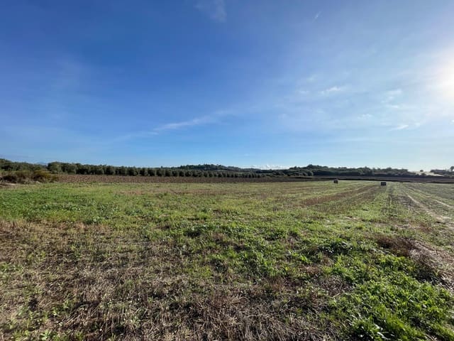 Building Plot for sale in Muro - € 525,000 (Ref: 9436436)