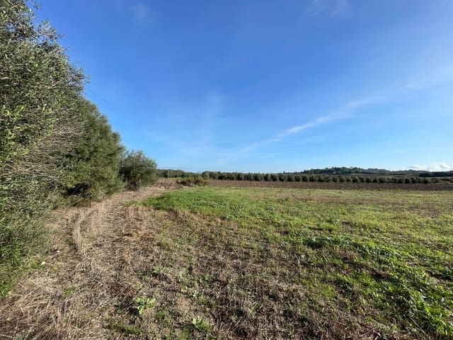 Building Plot for sale in Muro - € 525,000 (Ref: 9436436)