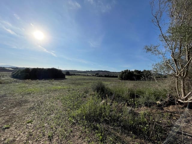 Building Plot for sale in Muro - € 525,000 (Ref: 9436436)