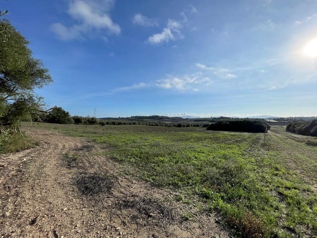 Building Plot for sale in Muro - € 525,000 (Ref: 9436436)