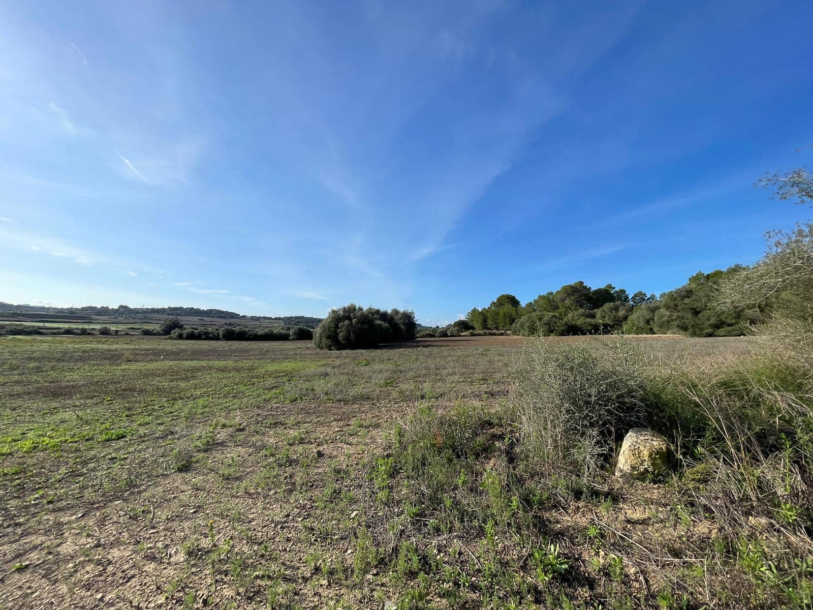 Byggetomt til salgs i Muro - € 595 000 (Ref: 9436437)