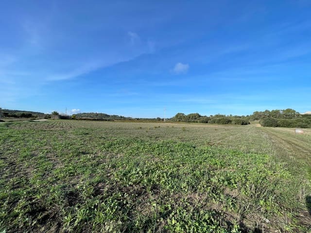 Building Plot for sale in Muro - € 595,000 (Ref: 9436437)