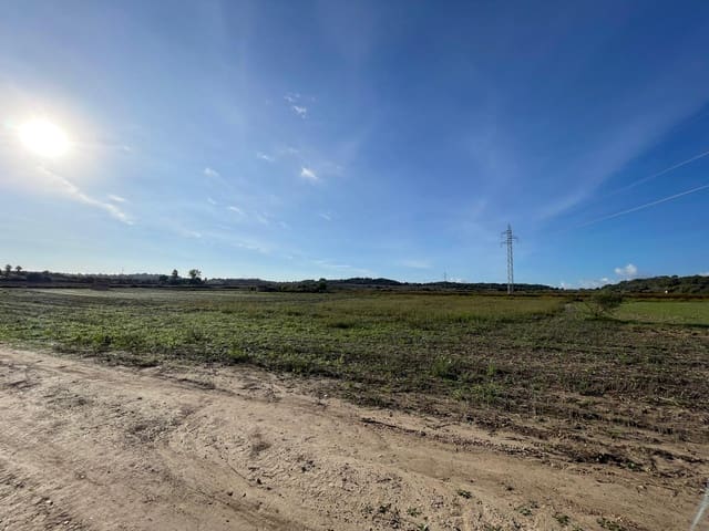 Building Plot for sale in Muro - € 595,000 (Ref: 9436437)