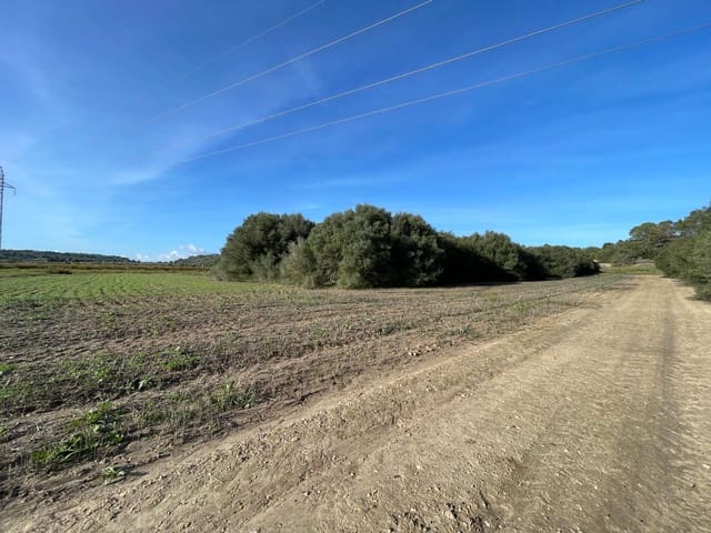 Building Plot for sale in Muro - € 595,000 (Ref: 9436437)