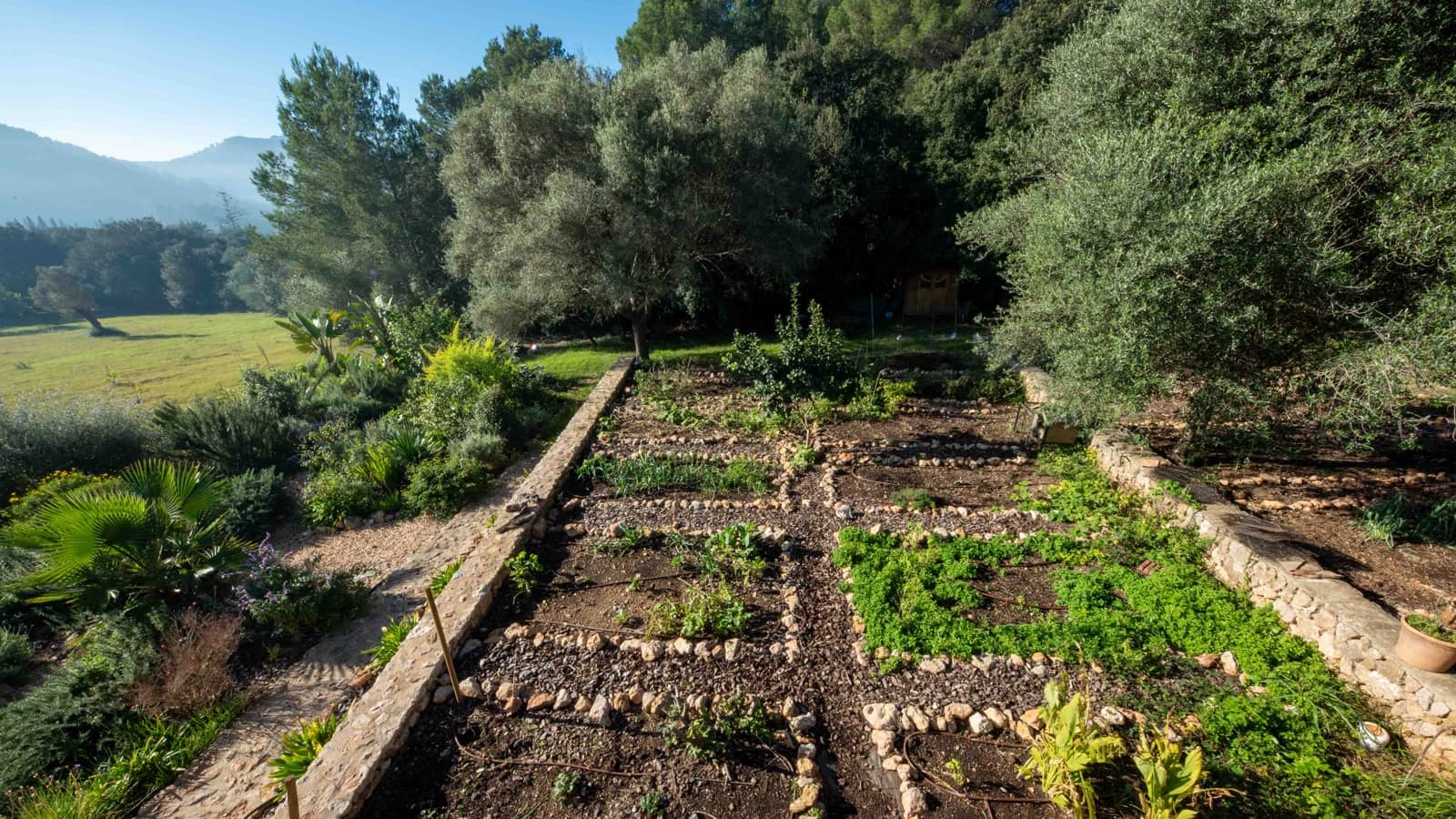 6 camera da letto Finca/Casa di Campagna in vendita in Pollensa / Pollenca con garage - 2.995.000 € (Rif: 9444962)