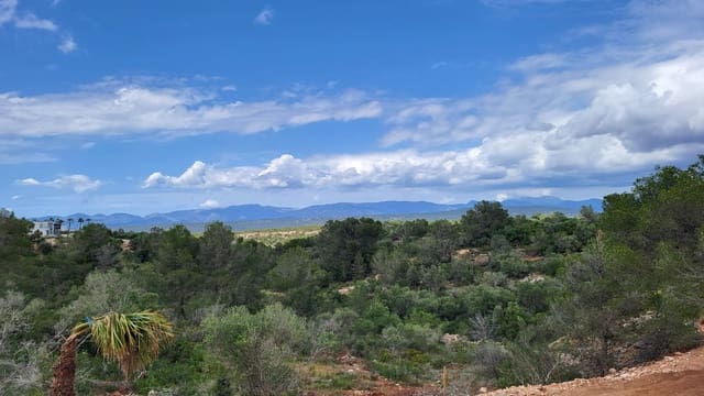 Building Plot for sale in Son Gual, Palma de Mallorca - € 550,000 (Ref: 9447248)