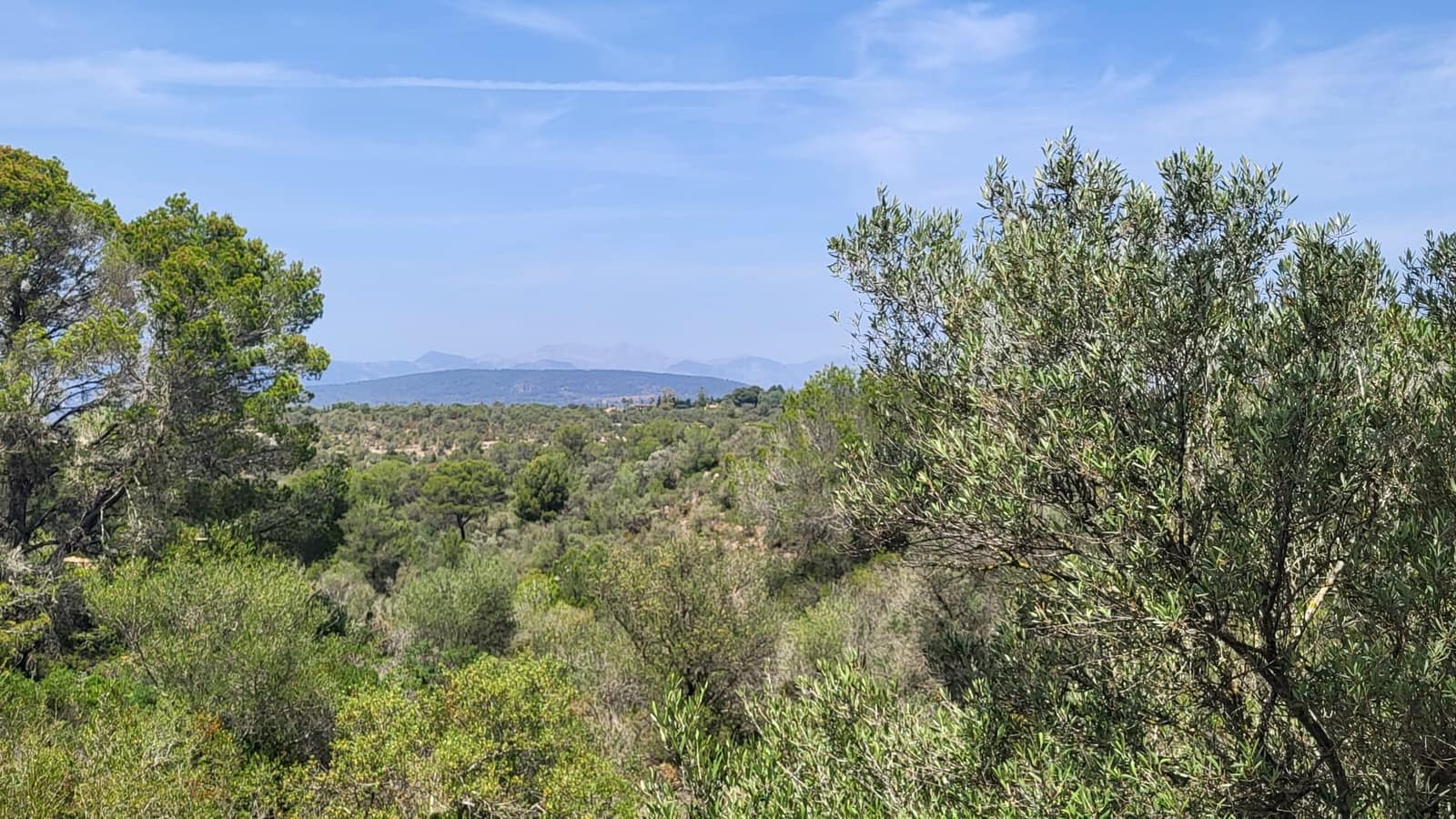 Byggegrund til salg i Son Gual - € 550.000 (Ref: 9447248)