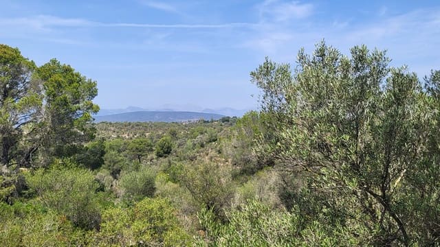 Building Plot for sale in Son Gual, Palma de Mallorca - € 550,000 (Ref: 9447248)