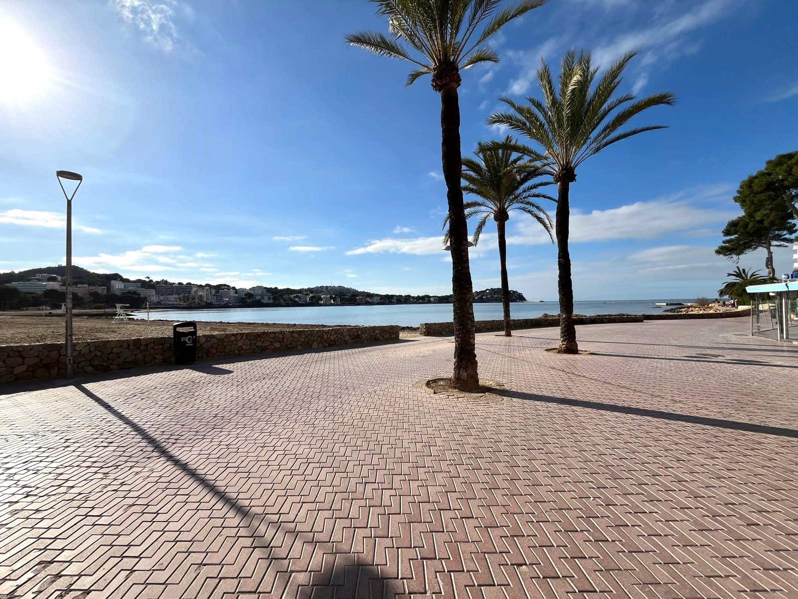 1 camera da letto Appartamento da affittare in Santa Ponsa - 1.600 € (Rif: 9469833)