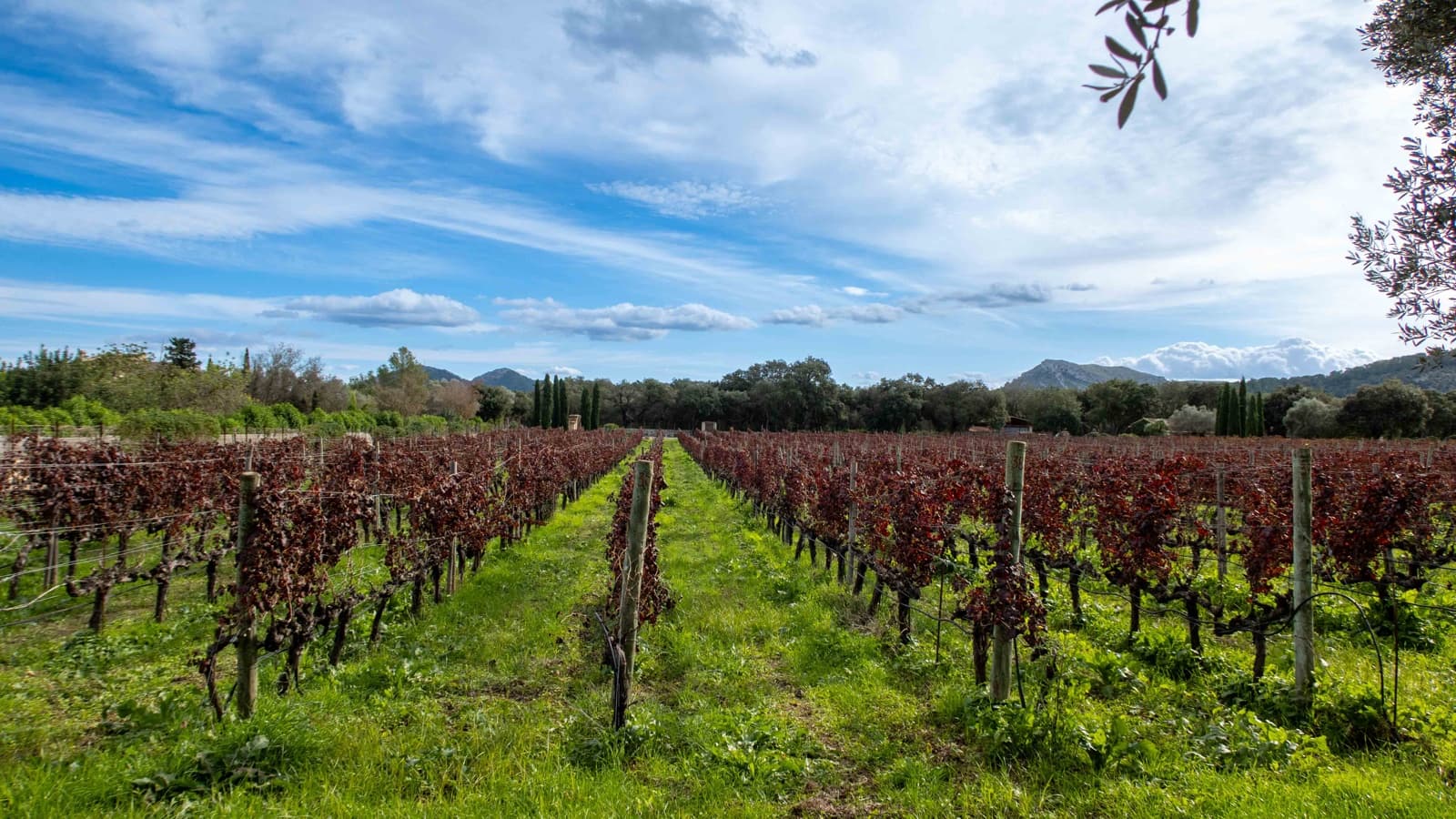 6 chambre Finca/Maison de Campagne à vendre à Pollensa / Pollenca avec garage - 7 650 000 € (Ref: 9469838)