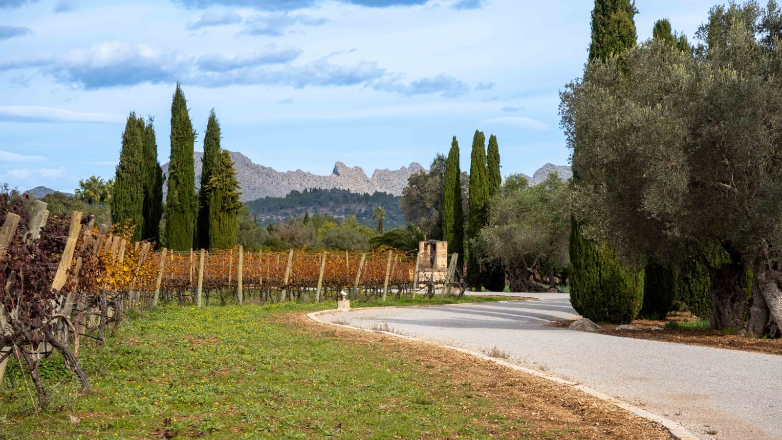 6 chambre Finca/Maison de Campagne à vendre à Pollensa / Pollenca avec garage - 7 650 000 € (Ref: 9469838)